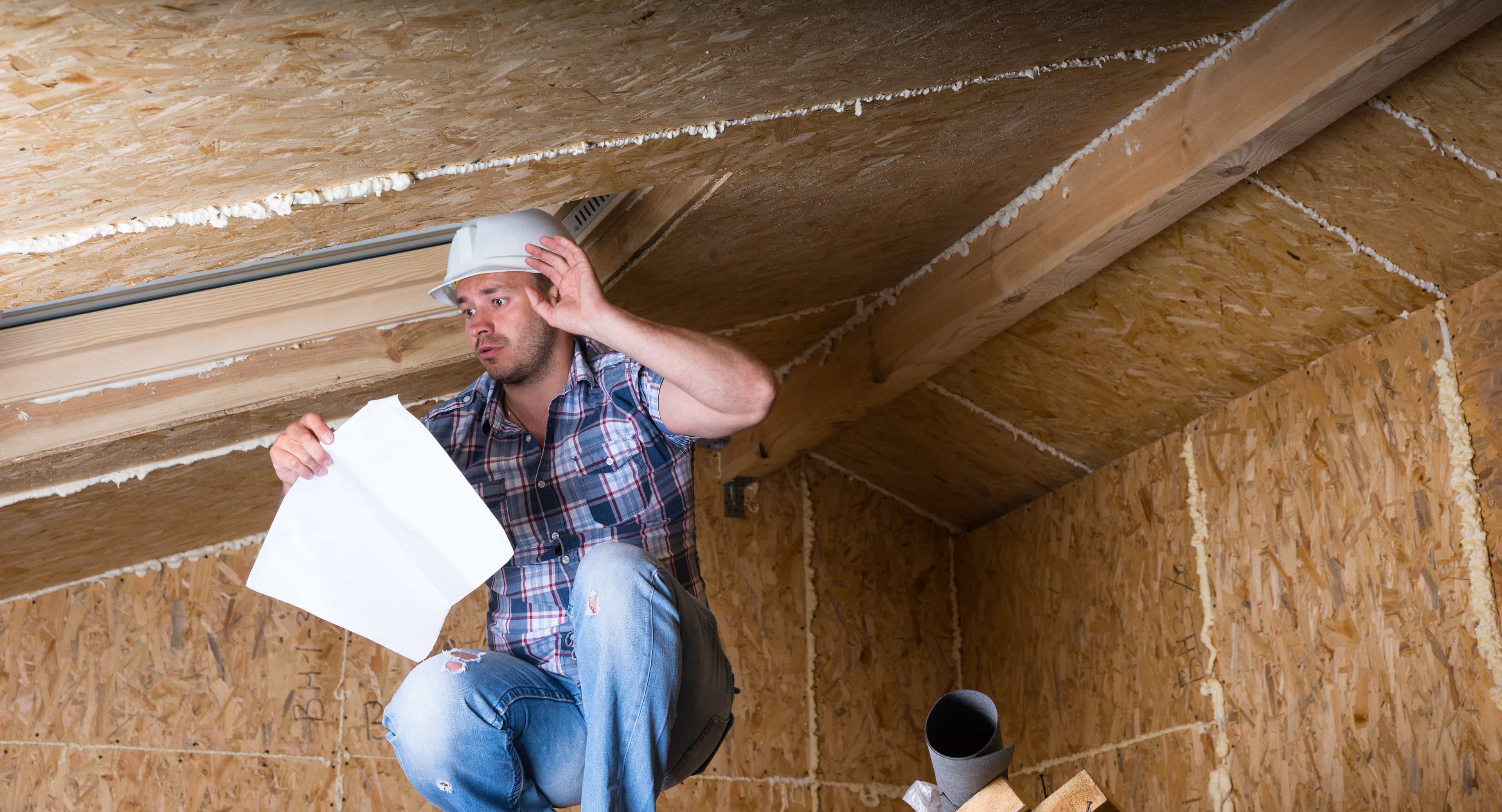 Hero image for New River Crawlspace